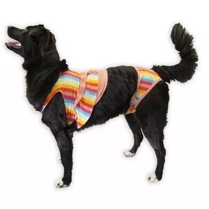 🆕Stripped Multicolor Woof Bathing Suit for Dogs S🆕